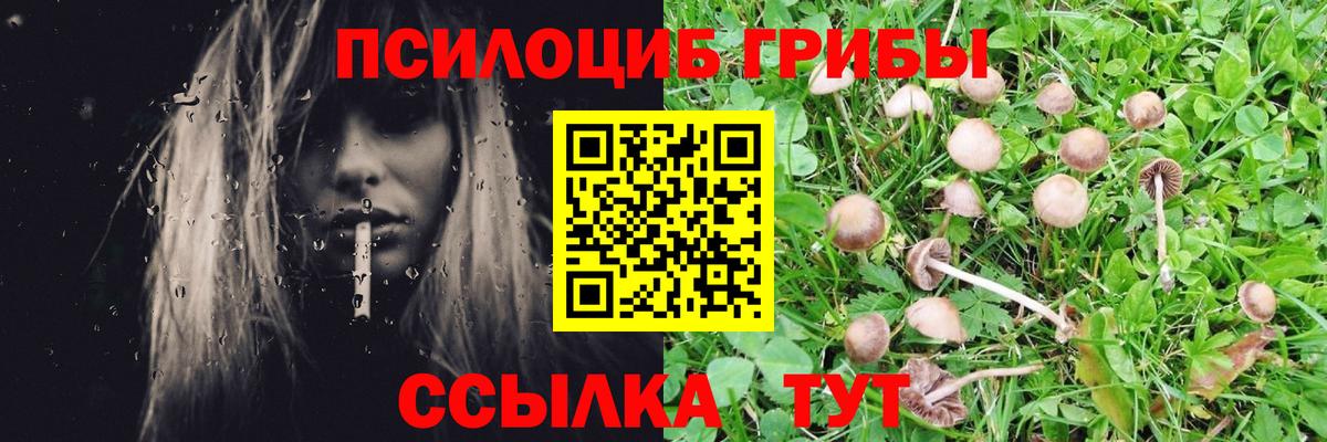 Псилоцибиновые грибы прущие грибы  Вход с VPN  Кстово 